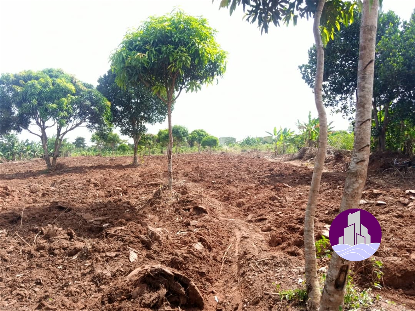 Agricultural Land for sale in Luweero Luweero