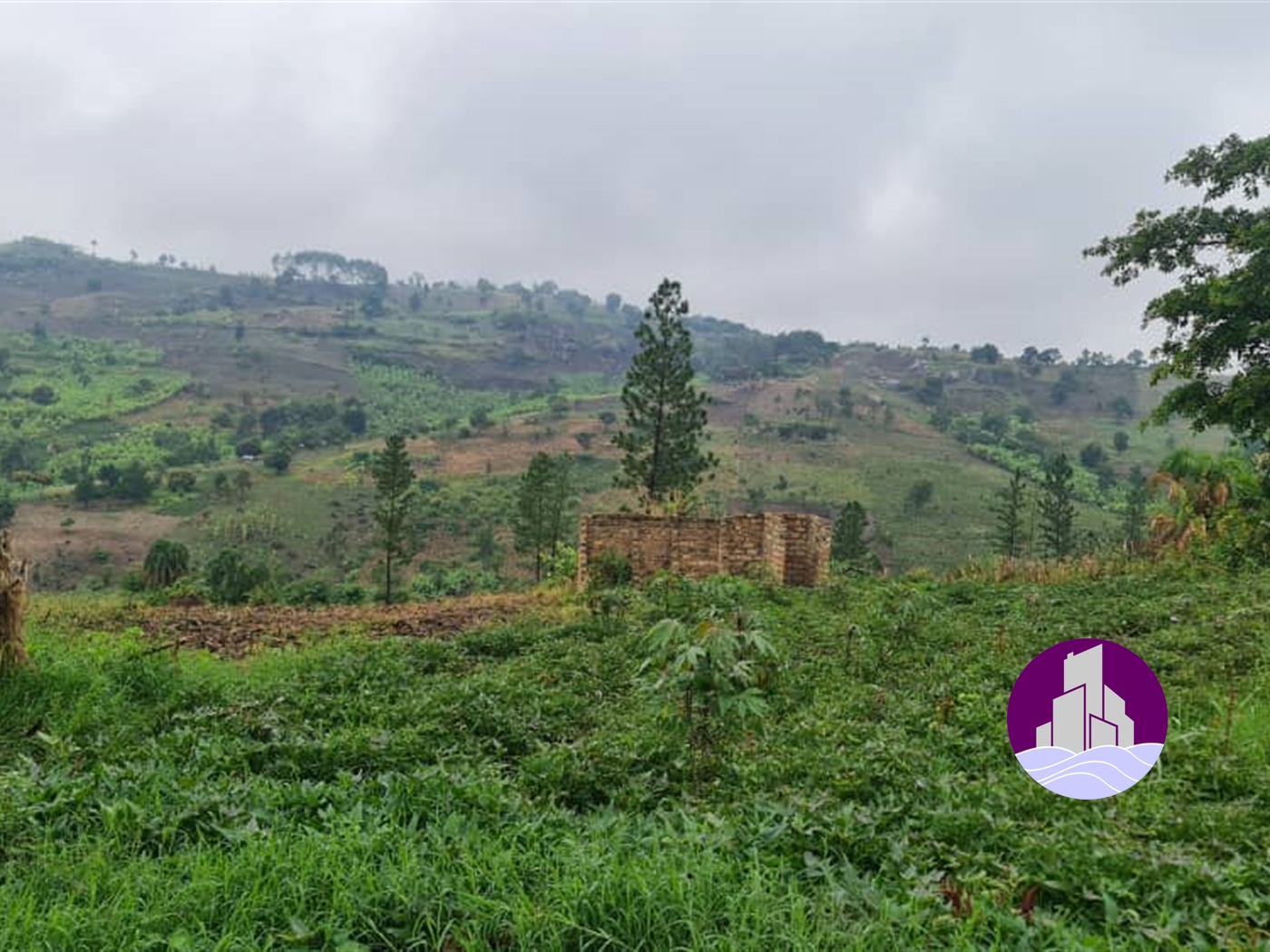 Agricultural Land for sale in Myanzi Mubende