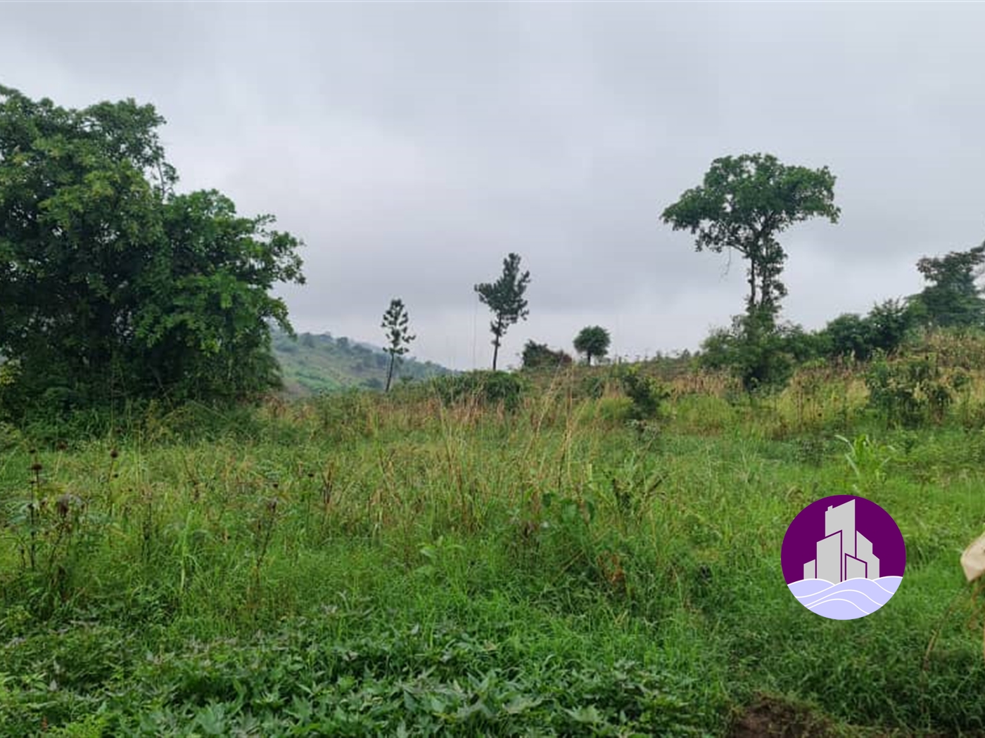 Agricultural Land for sale in Myanzi Mubende