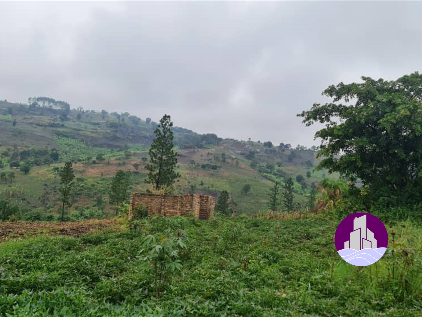 Agricultural Land for sale in Myanzi Mubende