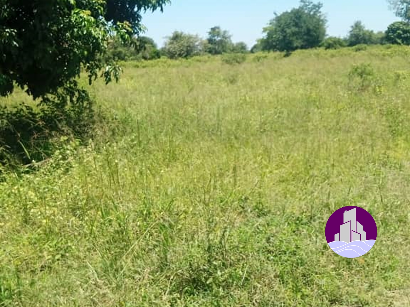 Agricultural Land for sale in Bamunaanika Luweero