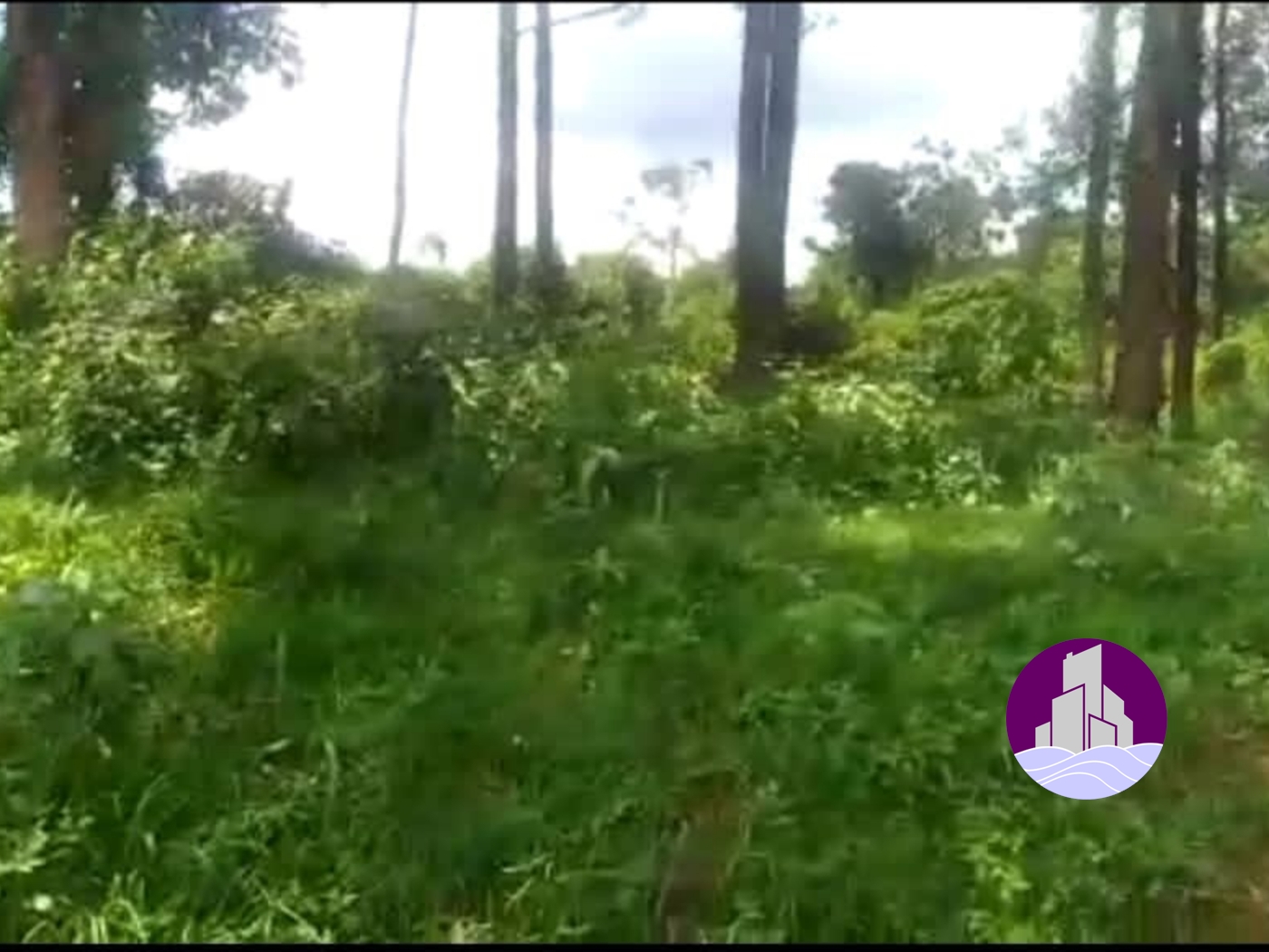 Agricultural Land for sale in Kalangaalo Mityana