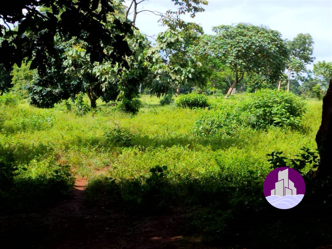 Island for sale in Koome Mukono