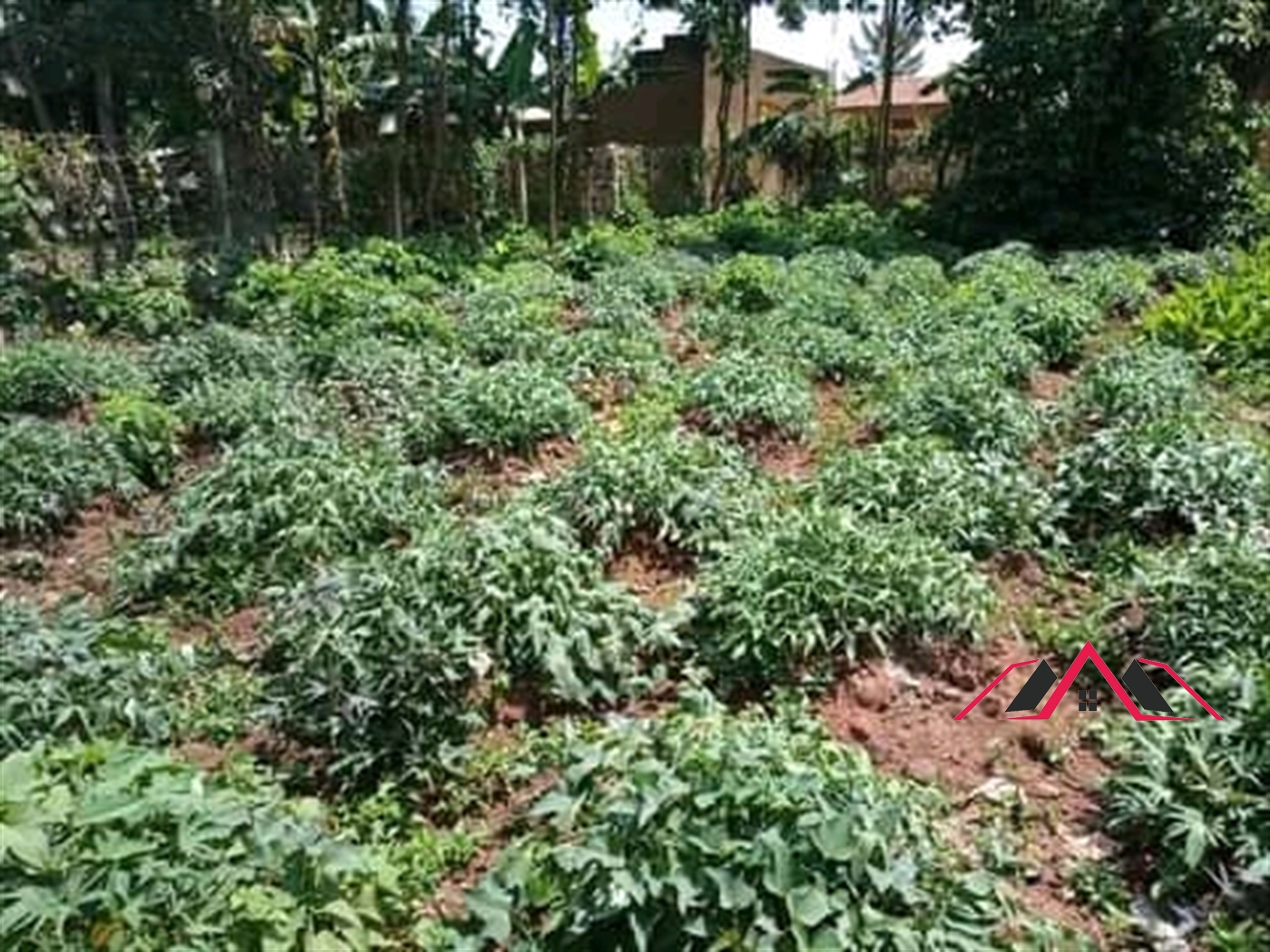 Residential Land for sale in Seeta Mukono