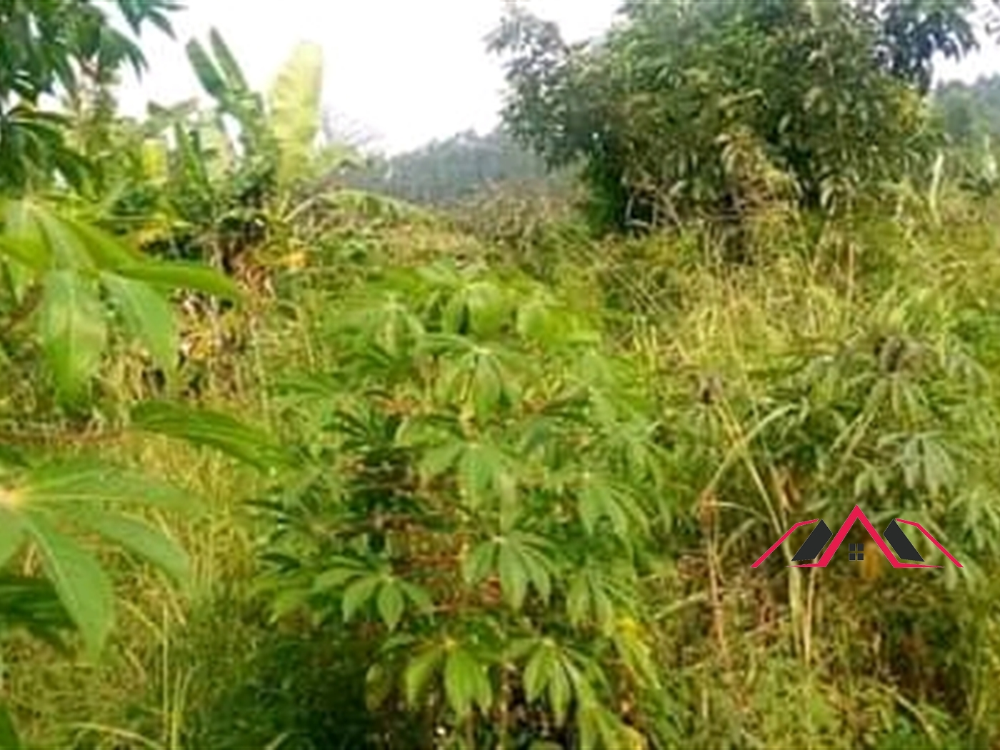 Residential Land for sale in Mukono Wakiso