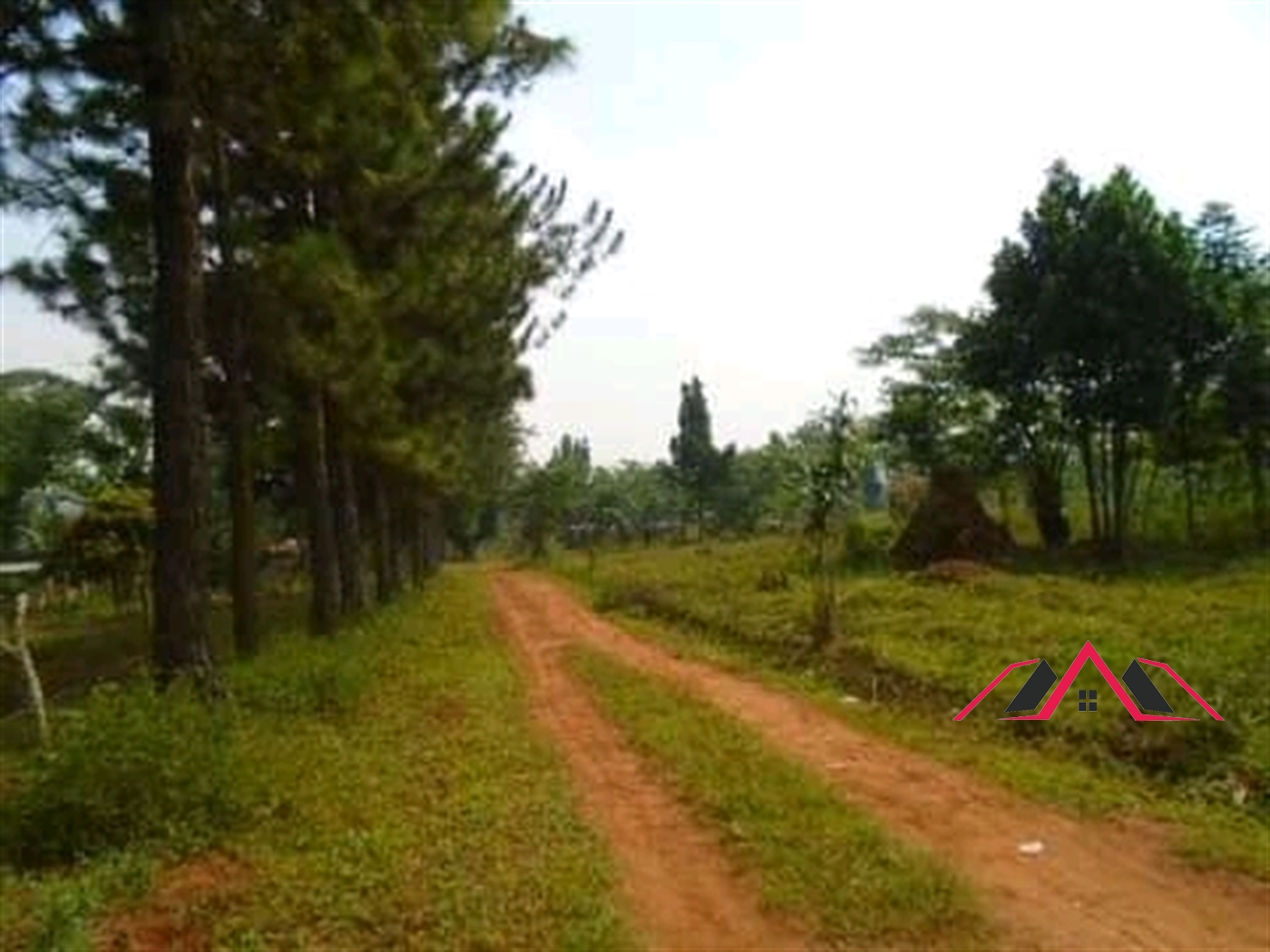 Residential Land for sale in Namugongo Wakiso