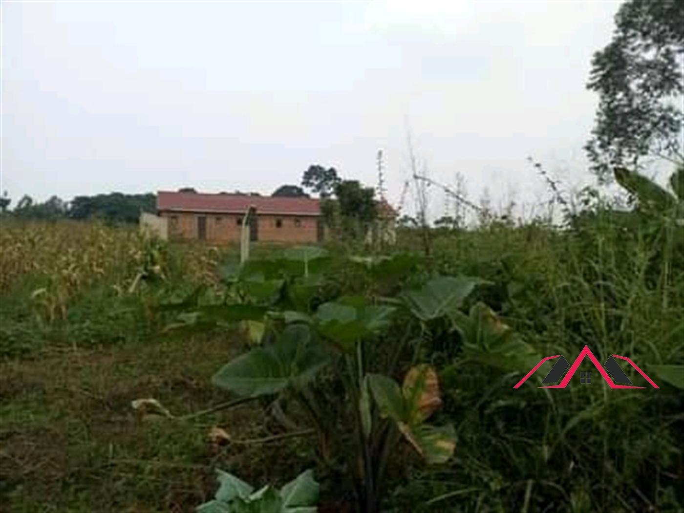 Residential Land for sale in Seeta Mukono