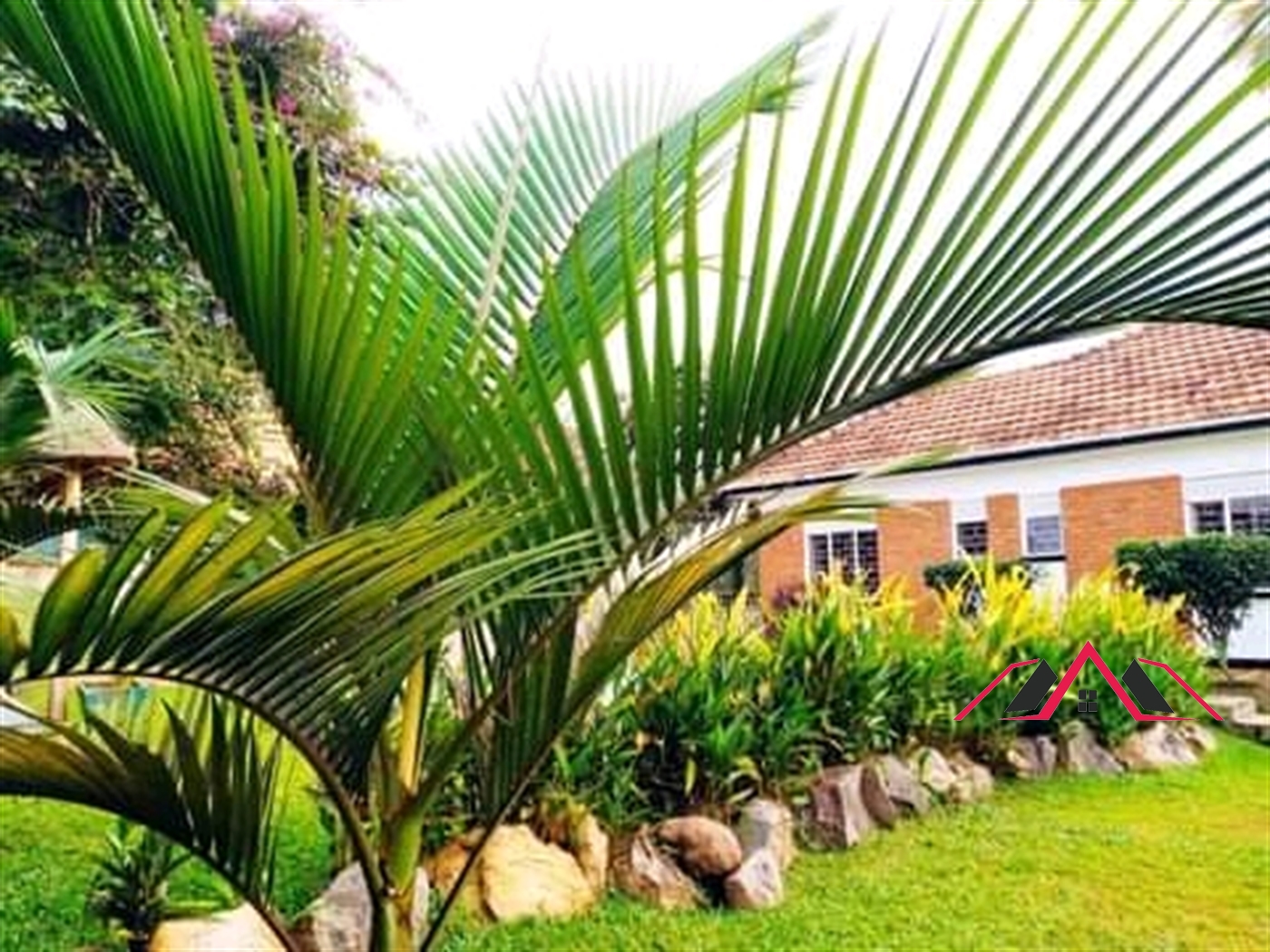 Bungalow for rent in Ntinda Kampala