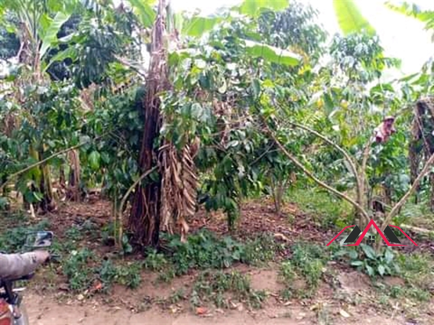 Residential Land for sale in Mukiyunga Mukono