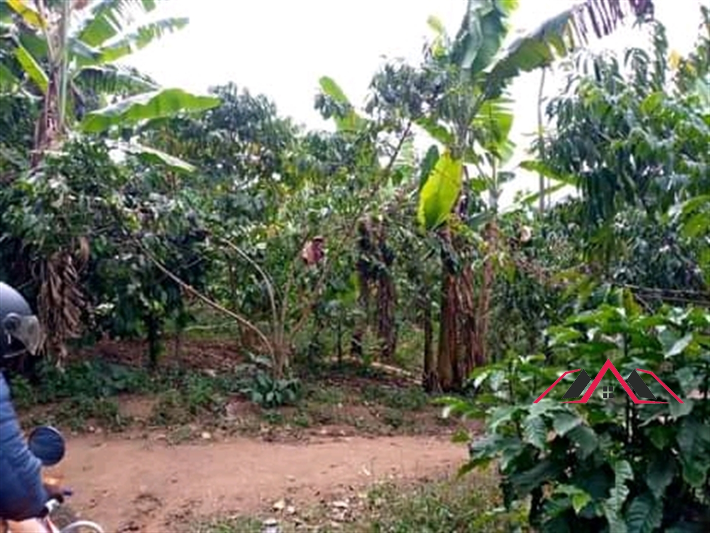 Residential Land for sale in Mukiyunga Mukono