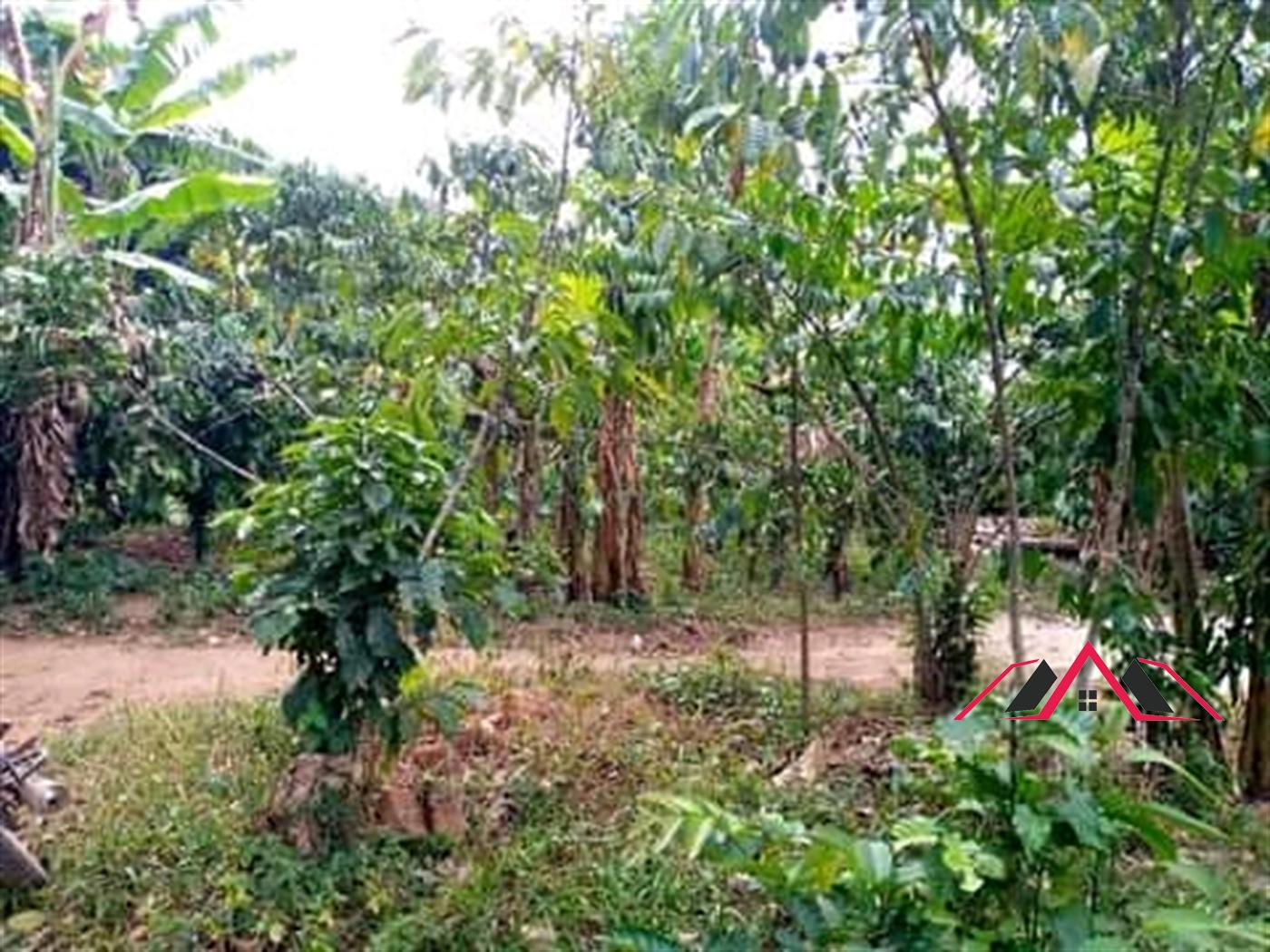 Residential Land for sale in Mukiyunga Mukono