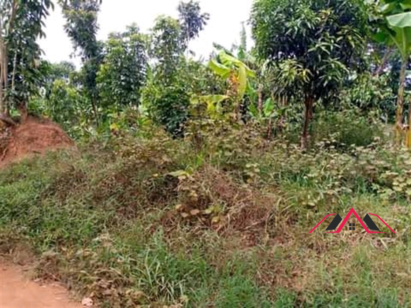 Residential Land for sale in Kayunga Mukono