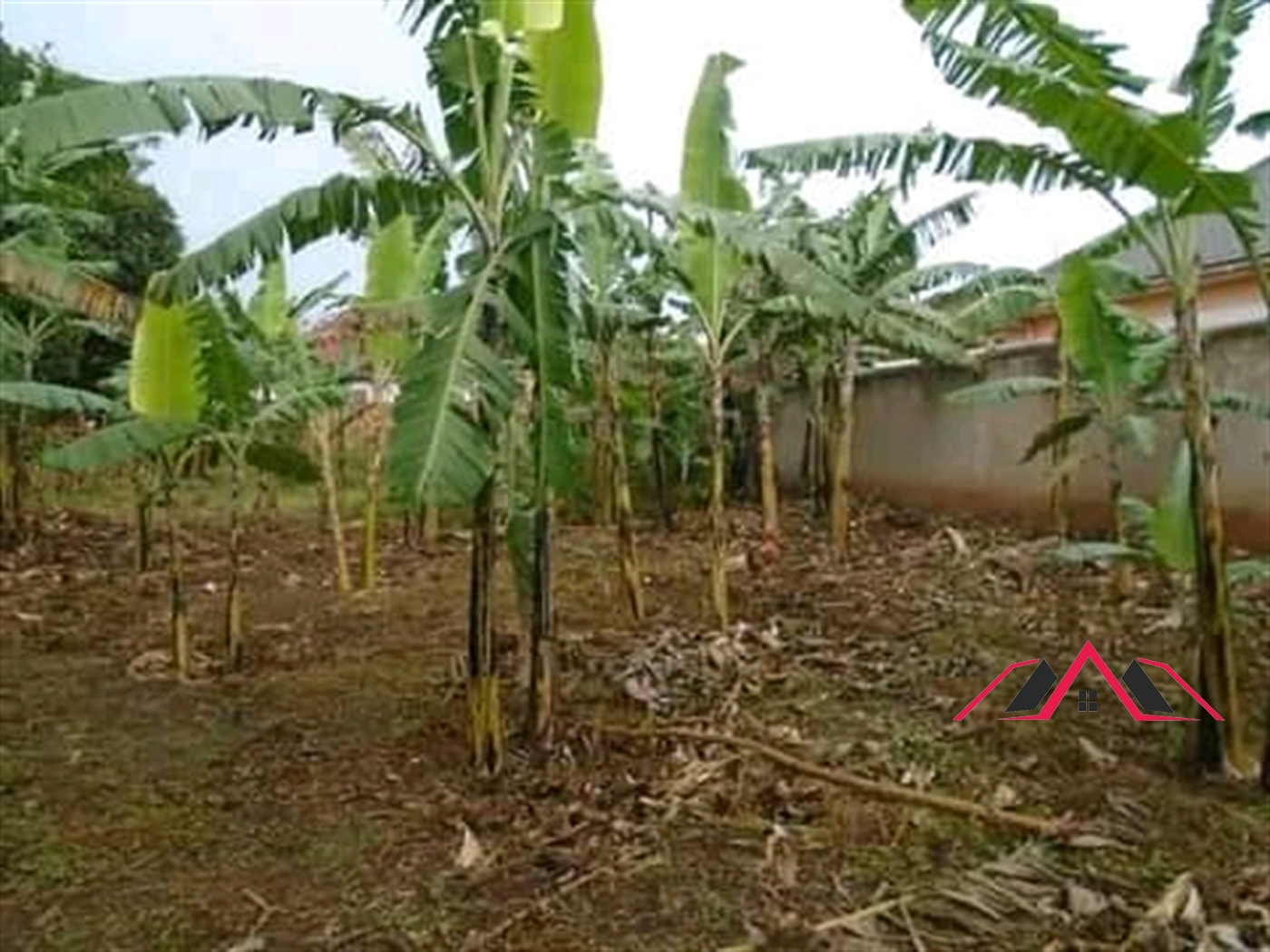 Residential Land for sale in Kira Wakiso