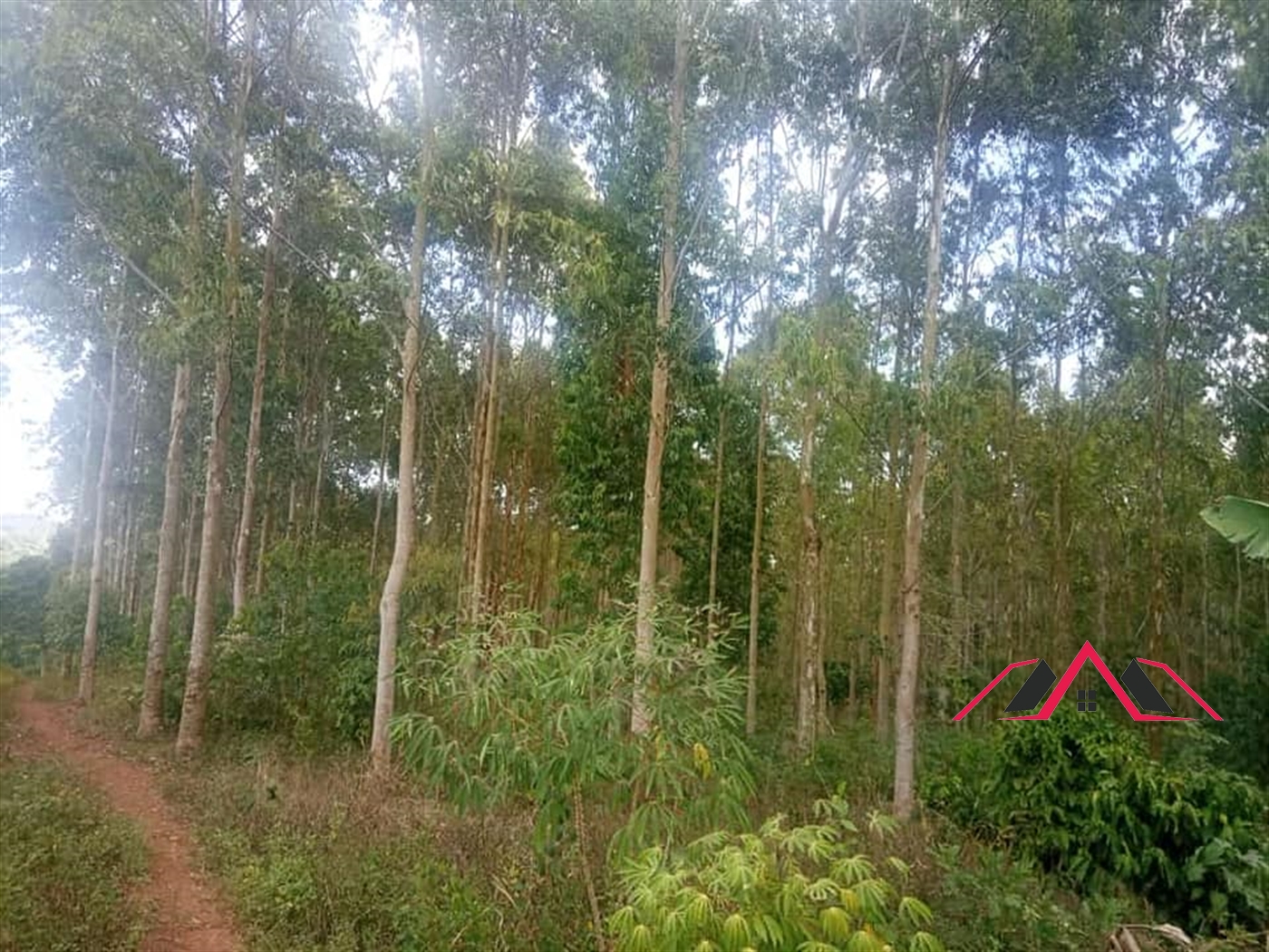 Commercial Land for sale in Katwe Mukono