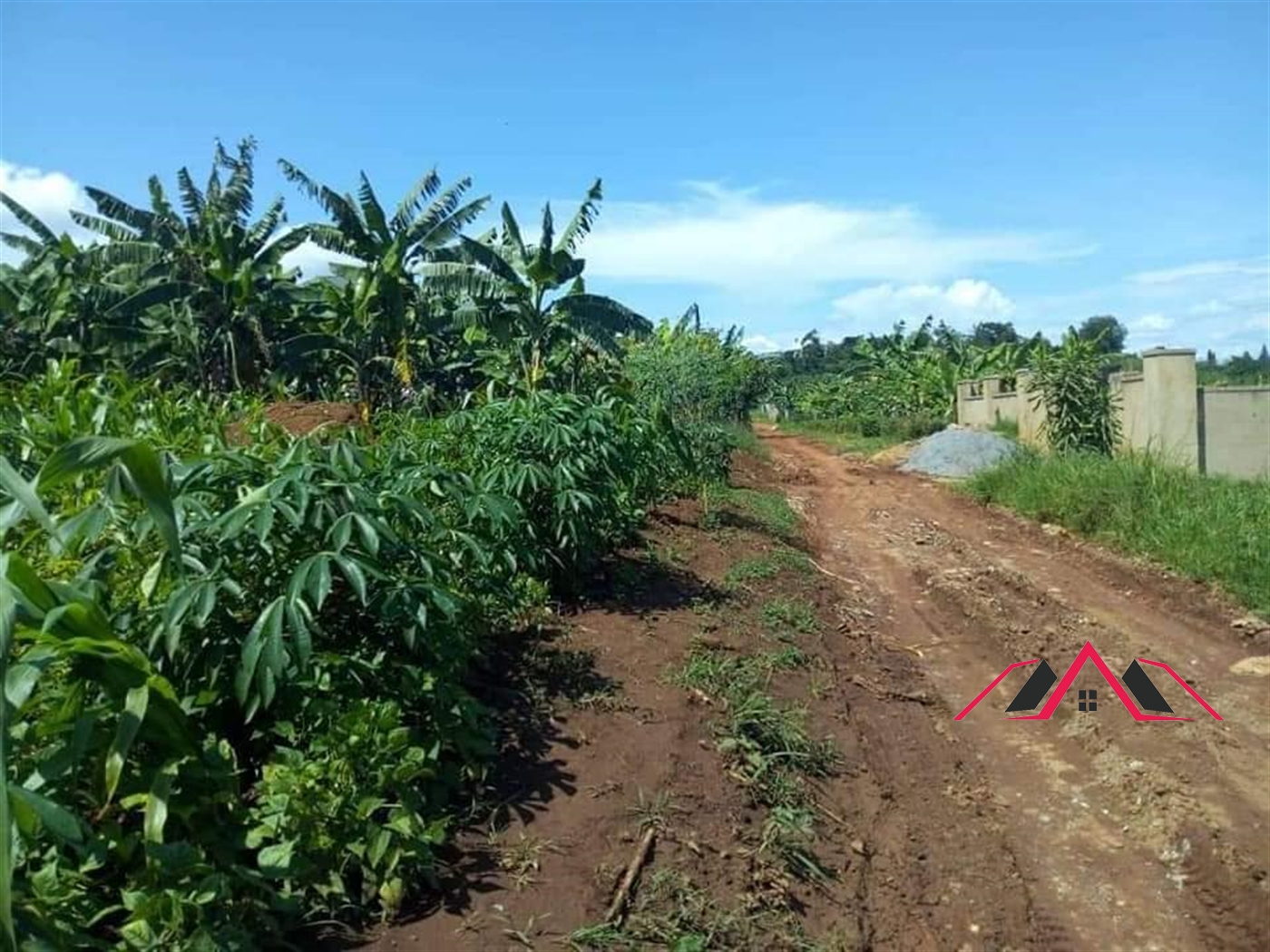 Residential Land for sale in Namulonge Wakiso