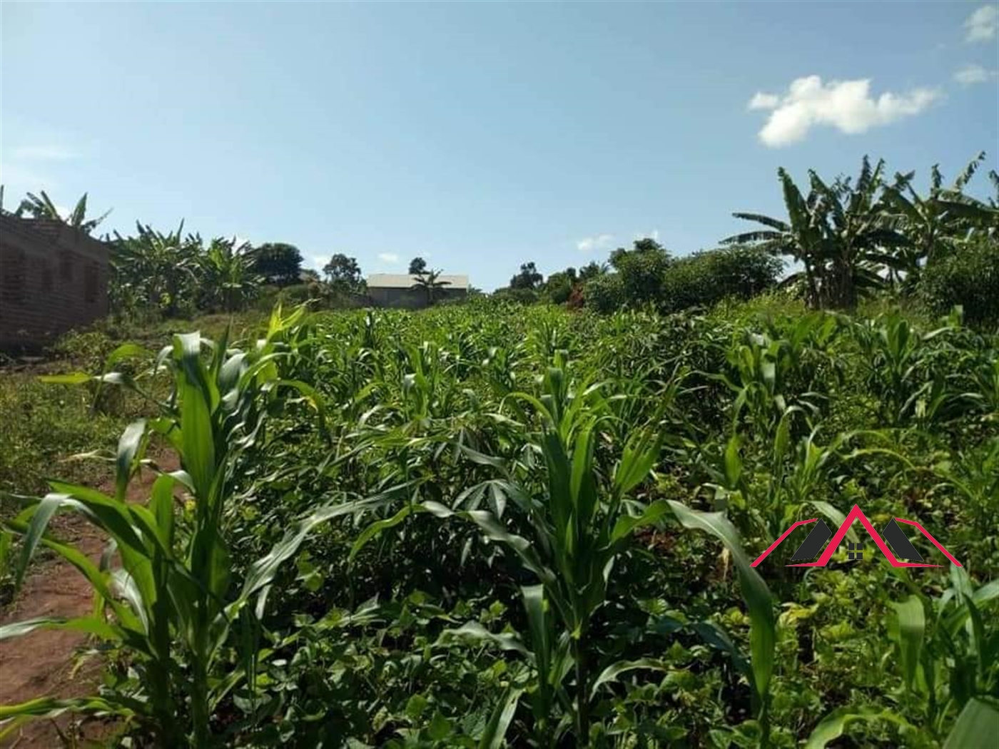 Residential Land for sale in Namulonge Wakiso