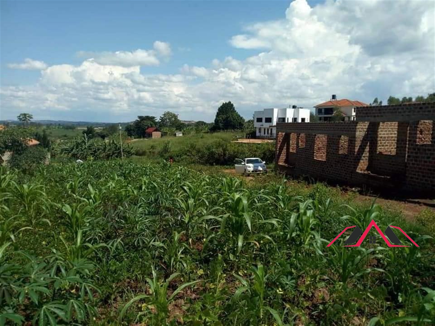 Residential Land for sale in Namulonge Wakiso