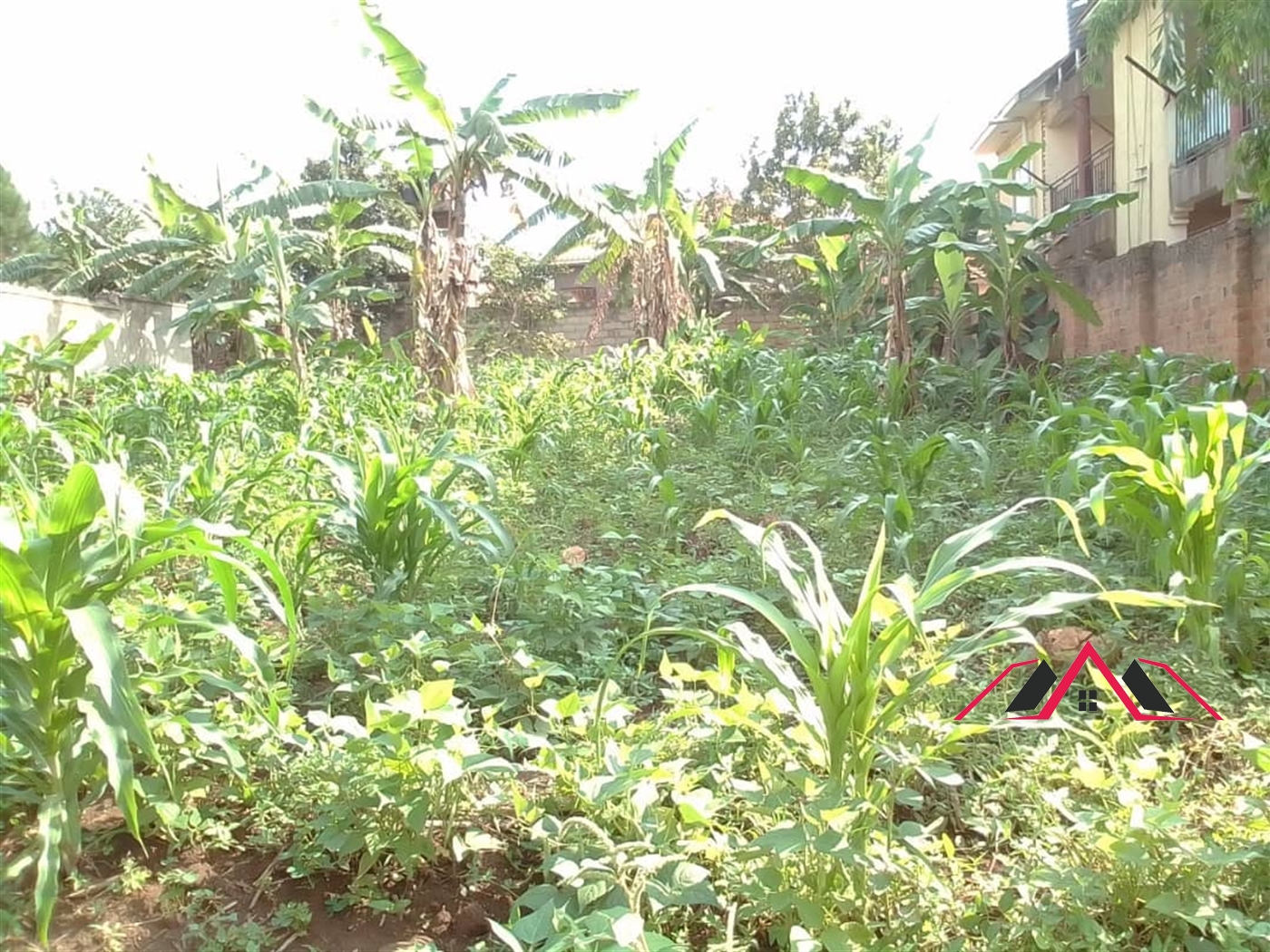 Residential Land for sale in Bweyogerere Wakiso