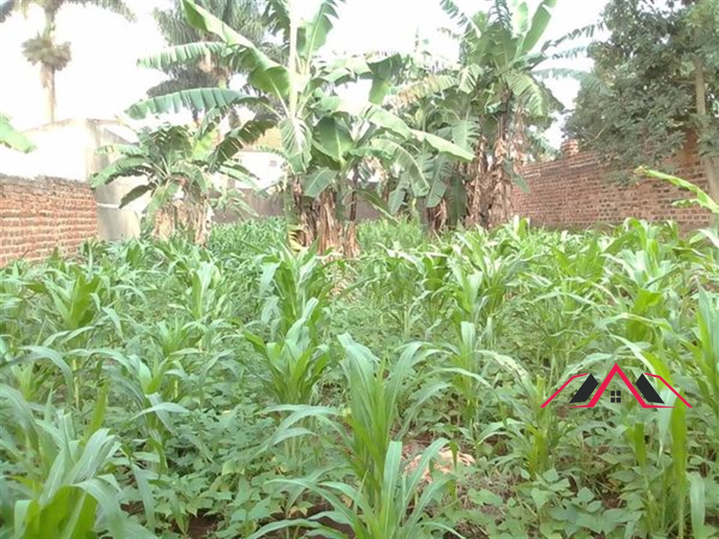 Residential Land for sale in Bweyogerere Wakiso