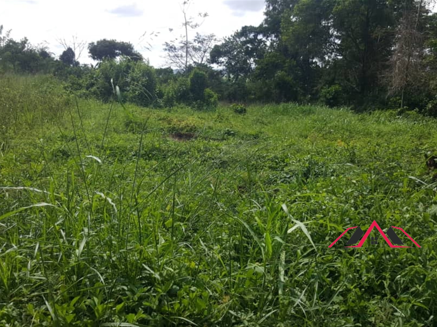 Residential Land for sale in Nama Mukono