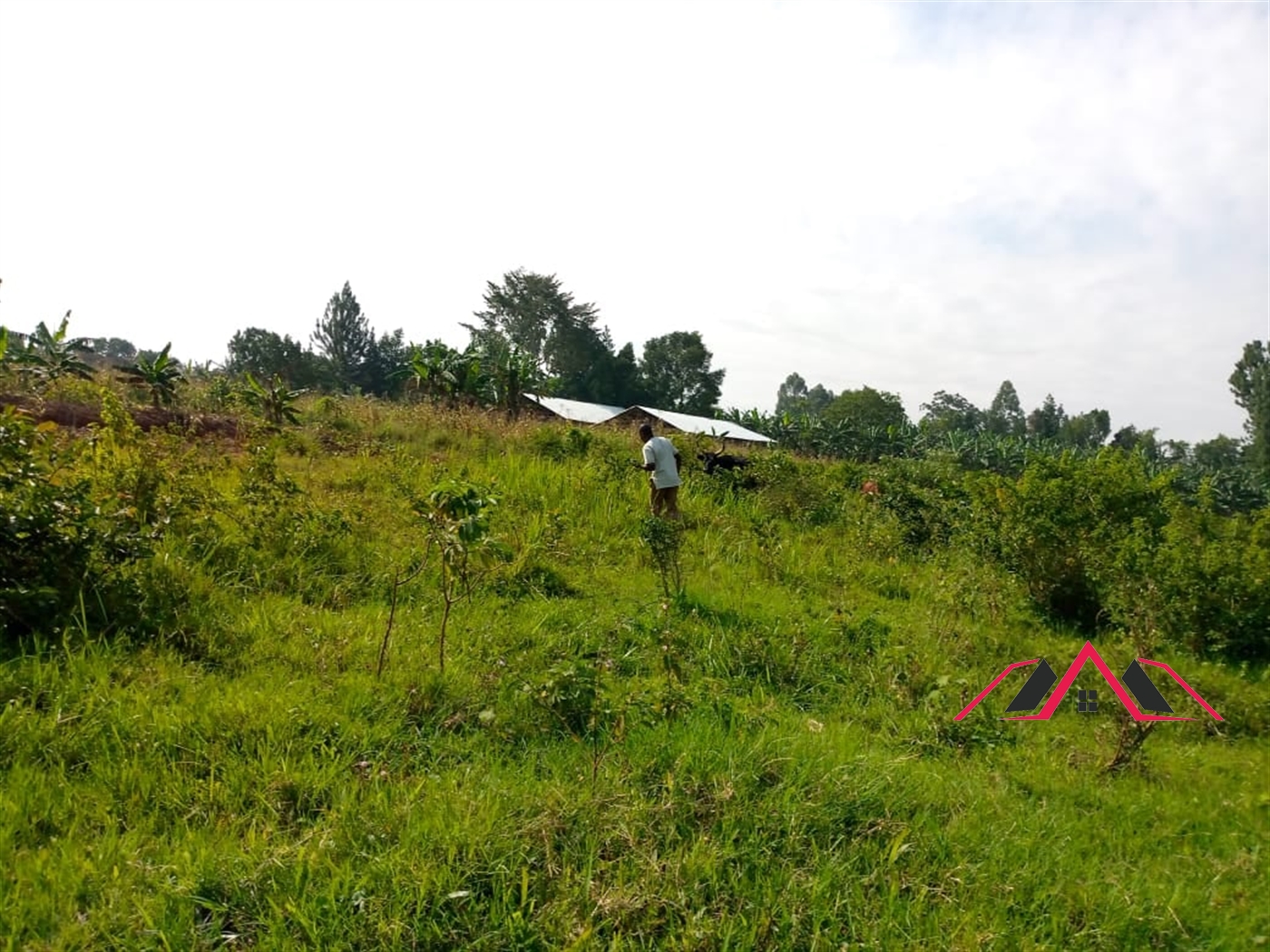 Residential Land for sale in Namugongo Kampala