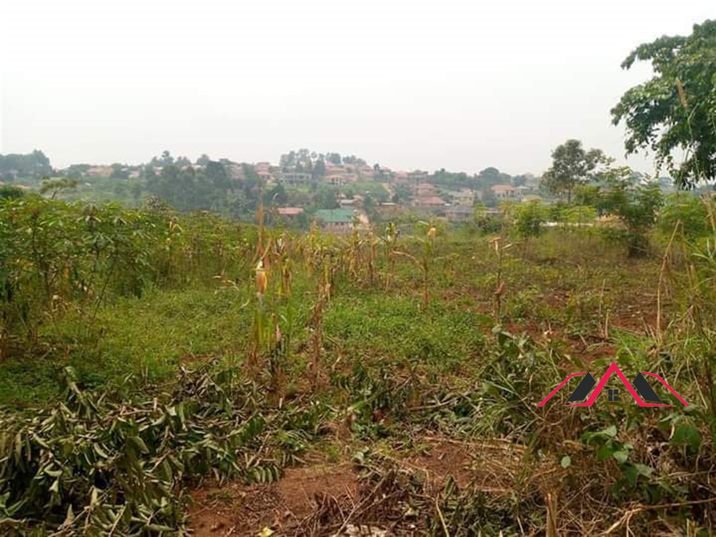 Residential Land for sale in Namugongo Wakiso