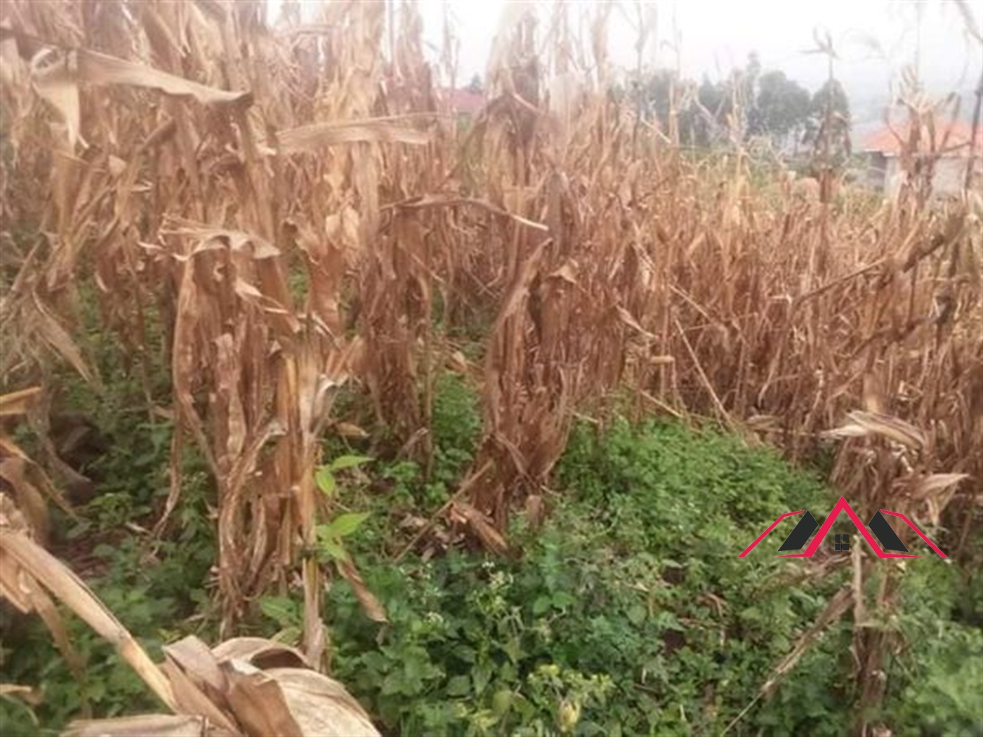 Residential Land for sale in Namugongo Wakiso