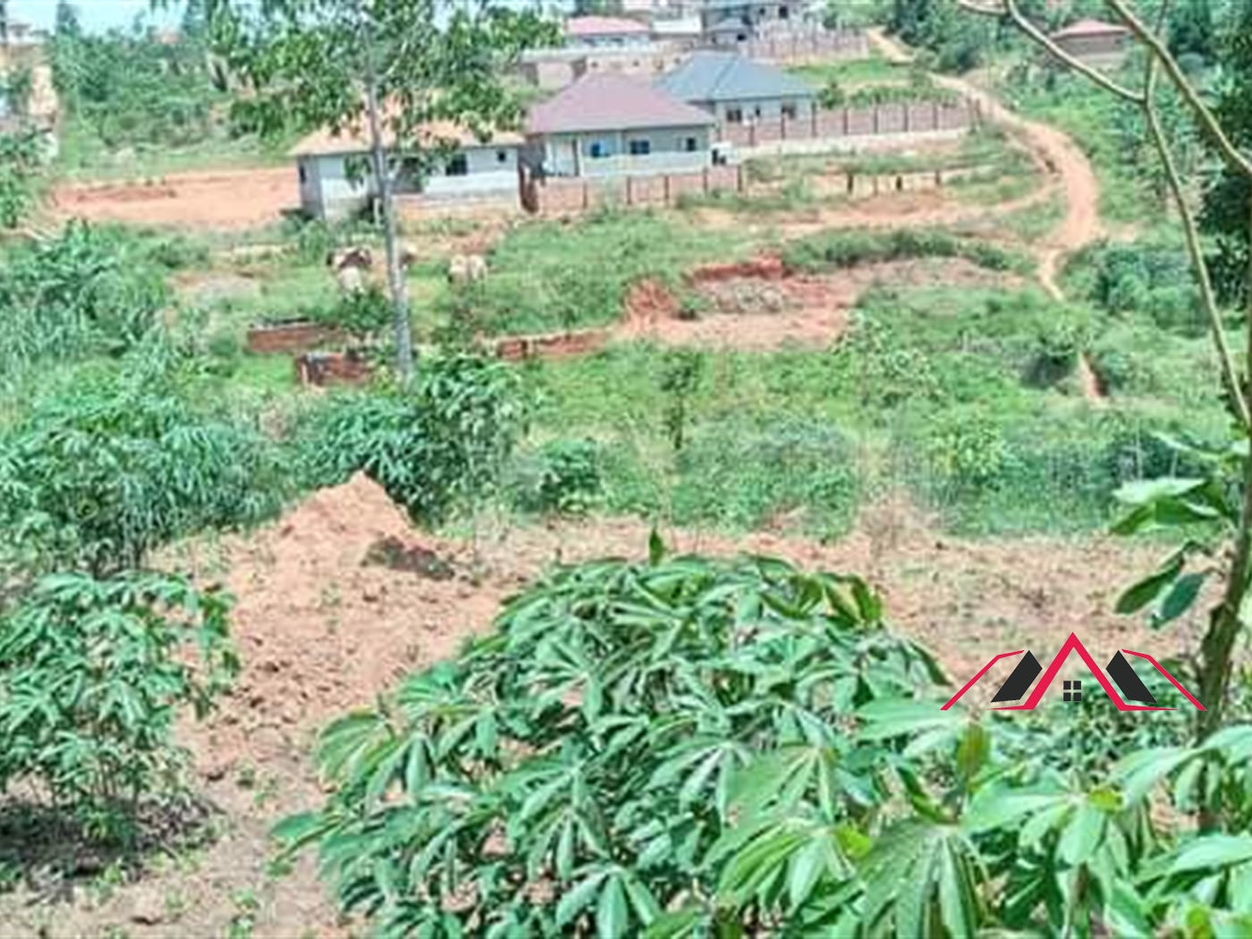 Residential Land for sale in Nabutti Mukono