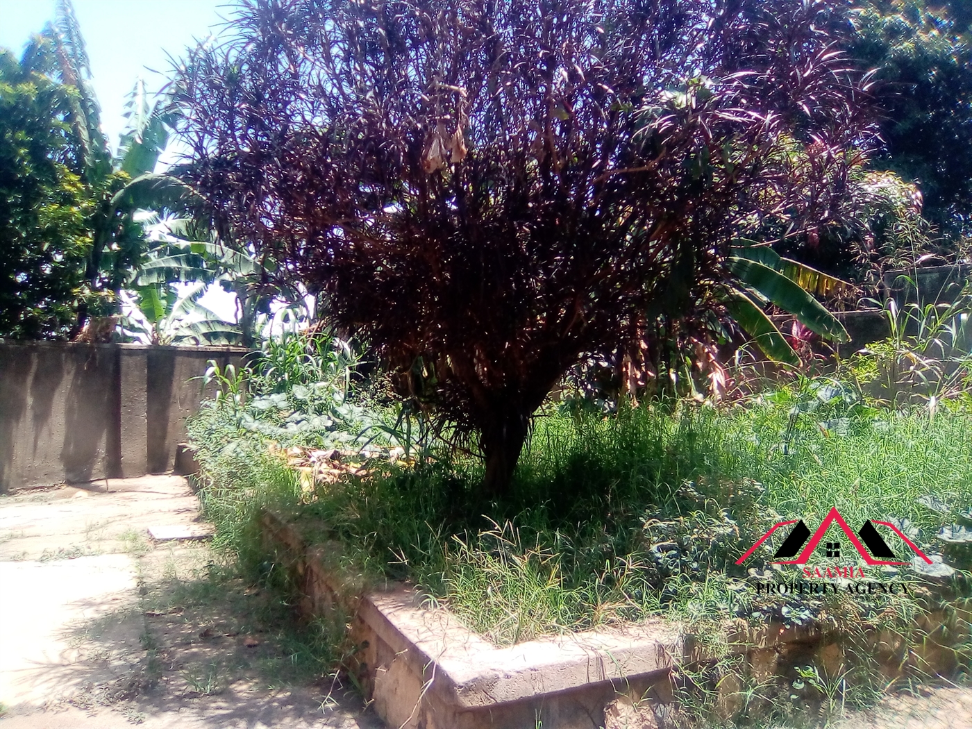 Bungalow for rent in Naalya Kampala