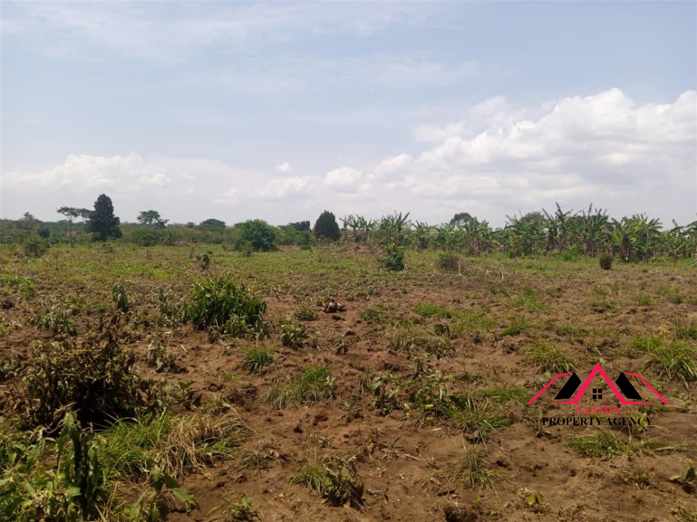 Commercial Land for sale in Ziloobwe Wakiso