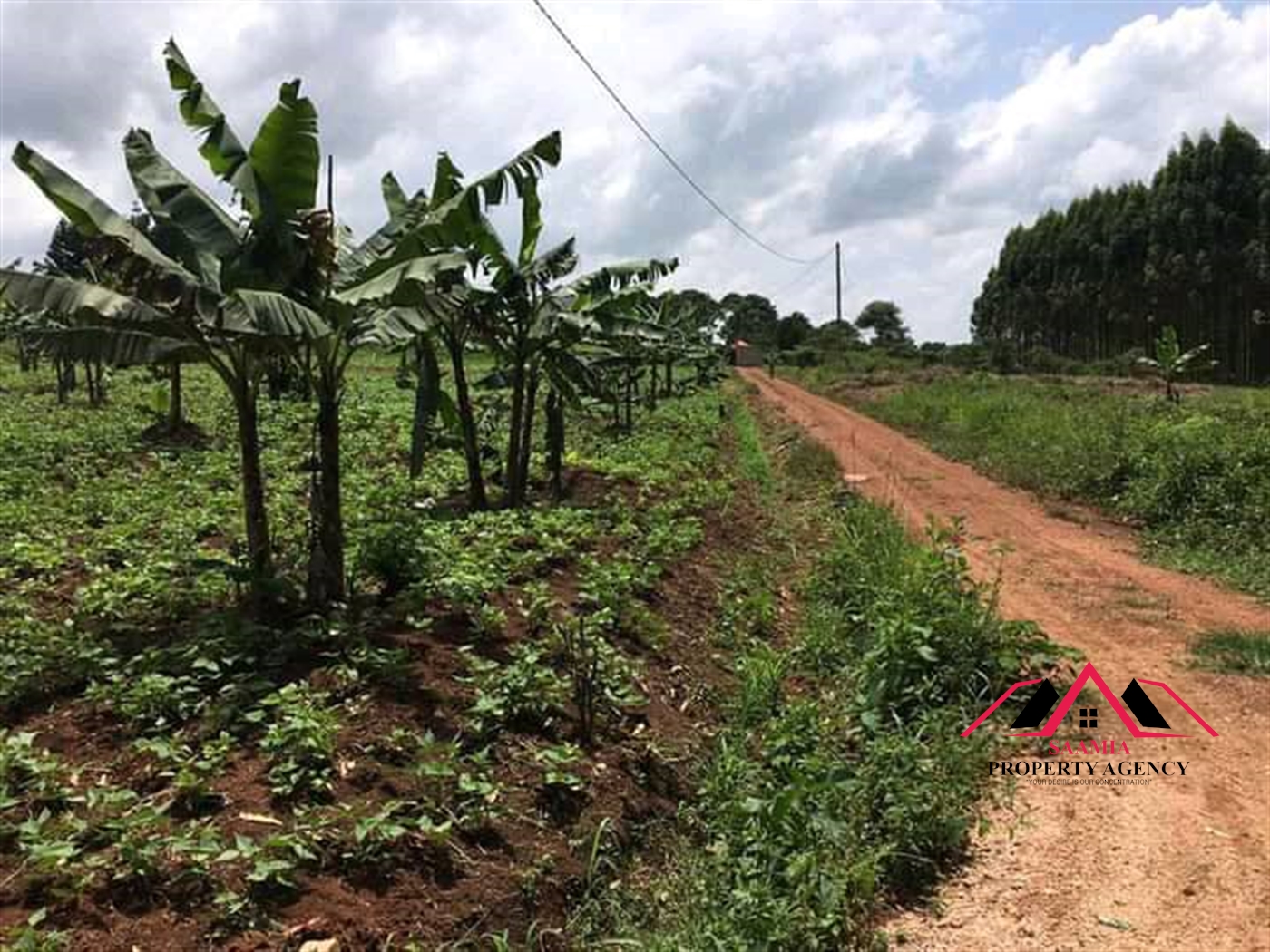 Residential Land for sale in Gayaza Wakiso