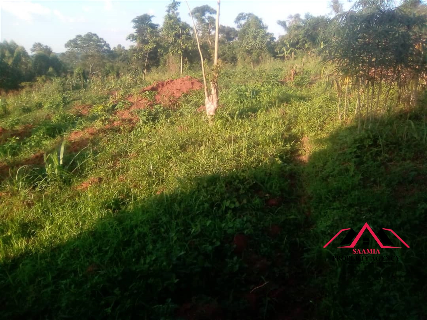 Residential Land for sale in Sonde Wakiso