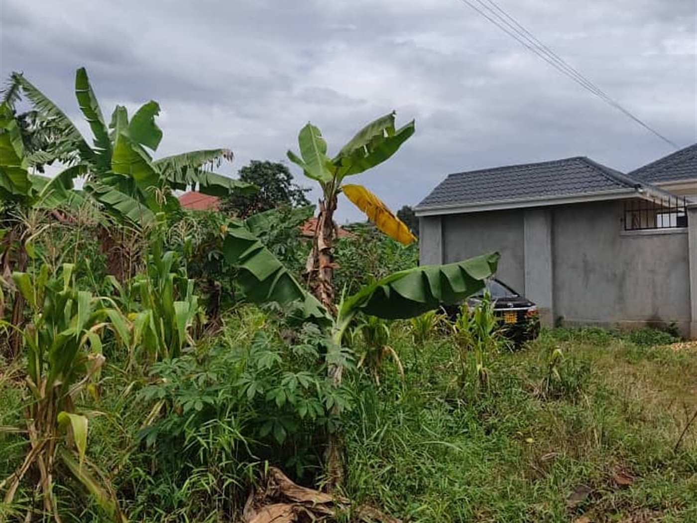 Residential Land for sale in Nabuta Mukono