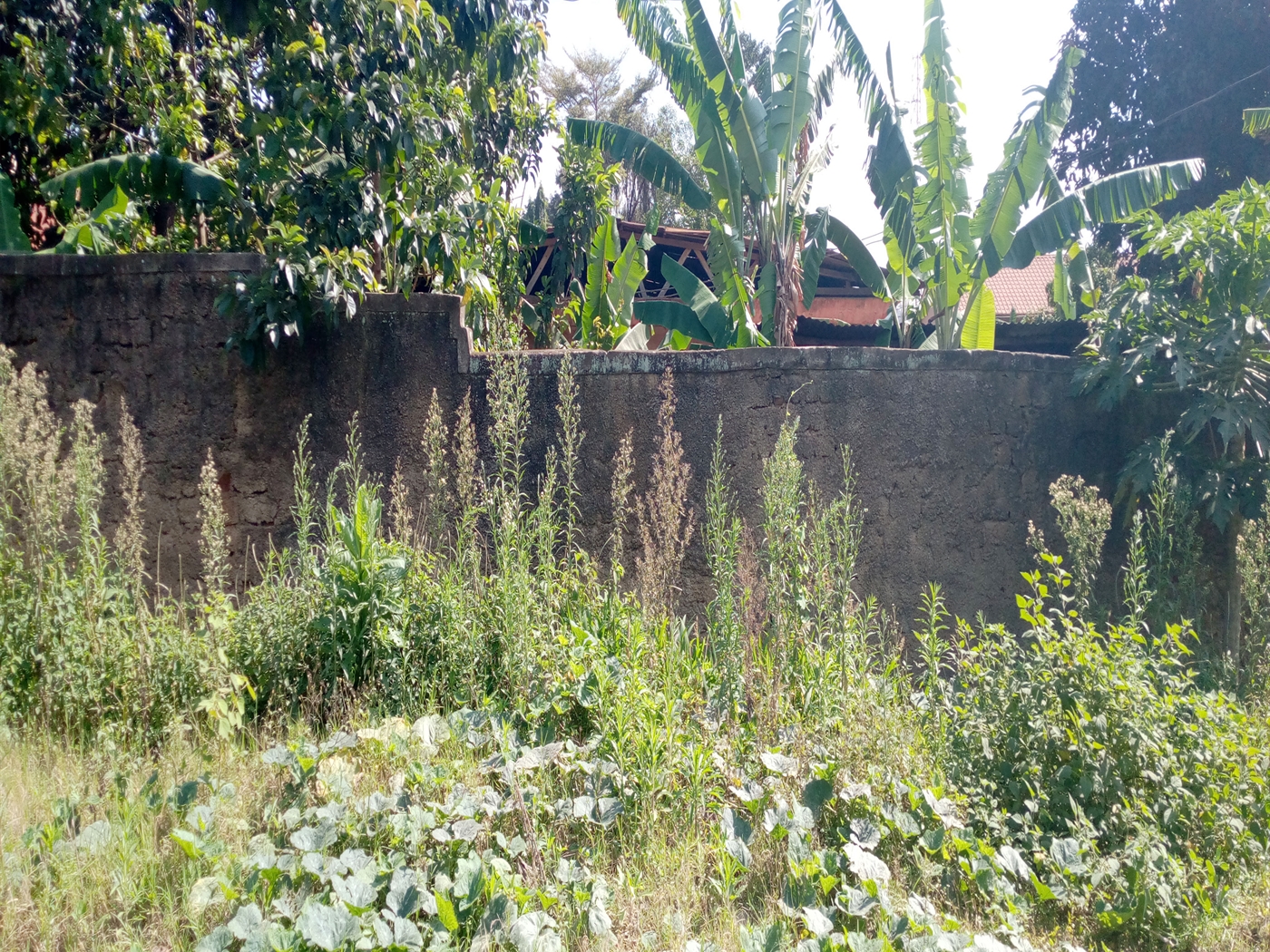 Residential Land for sale in Bukesa Kampala