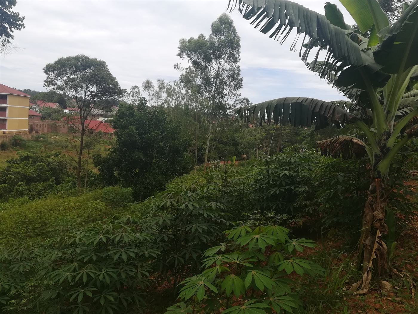 Multipurpose Land for sale in Kazinga Mukono