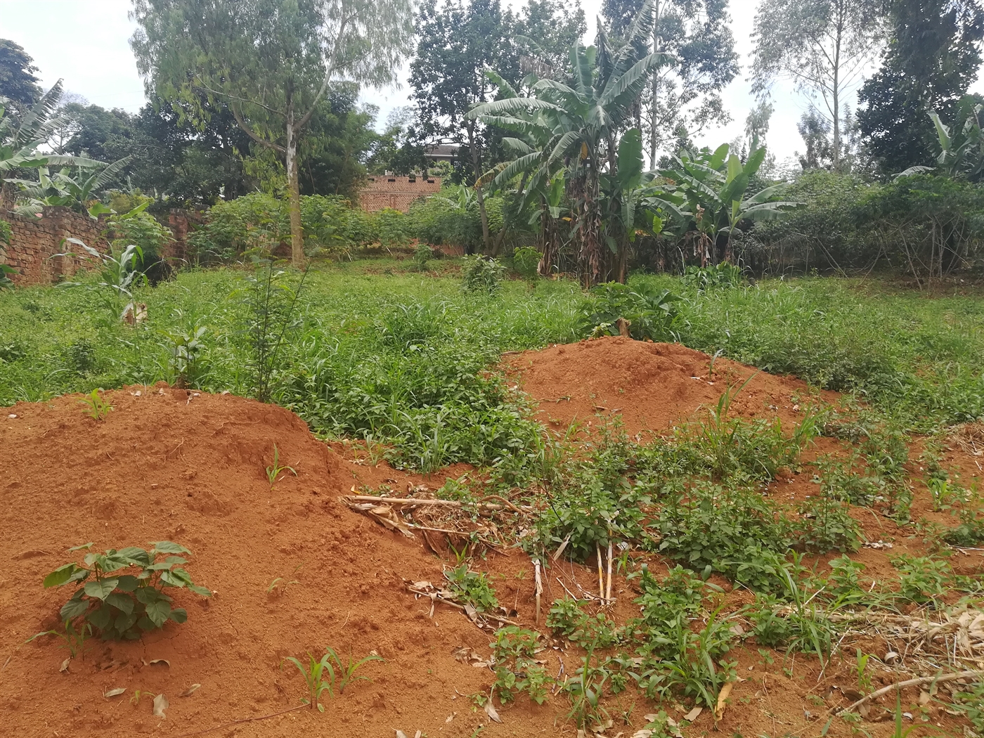 Residential Land for sale in Mpoma Mukono