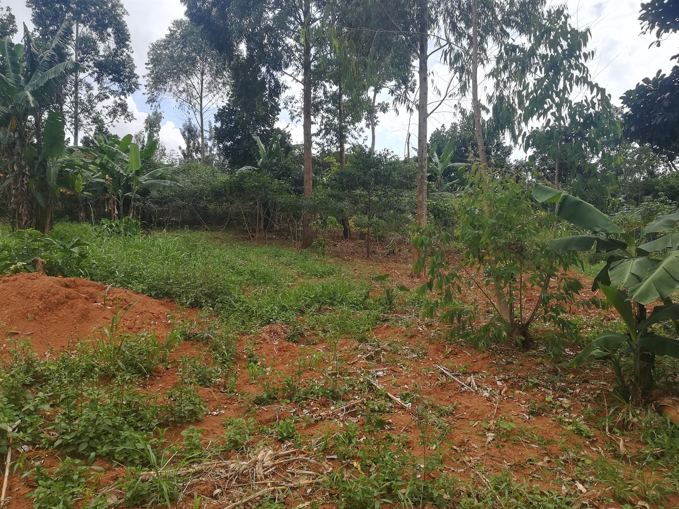 Residential Land for sale in Mpoma Mukono