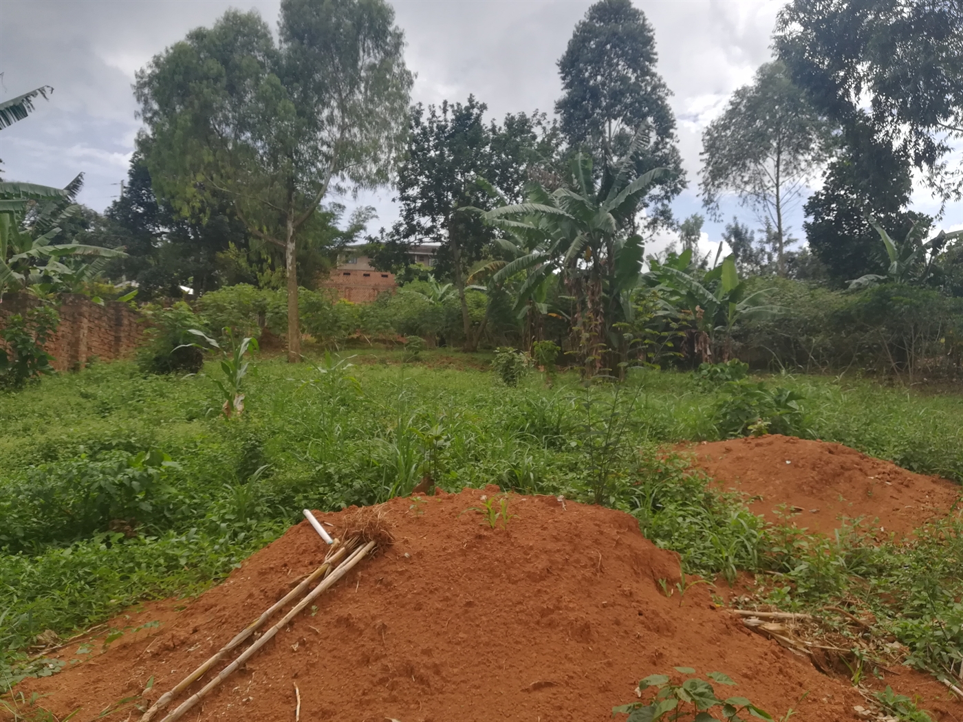 Residential Land for sale in Mpoma Mukono