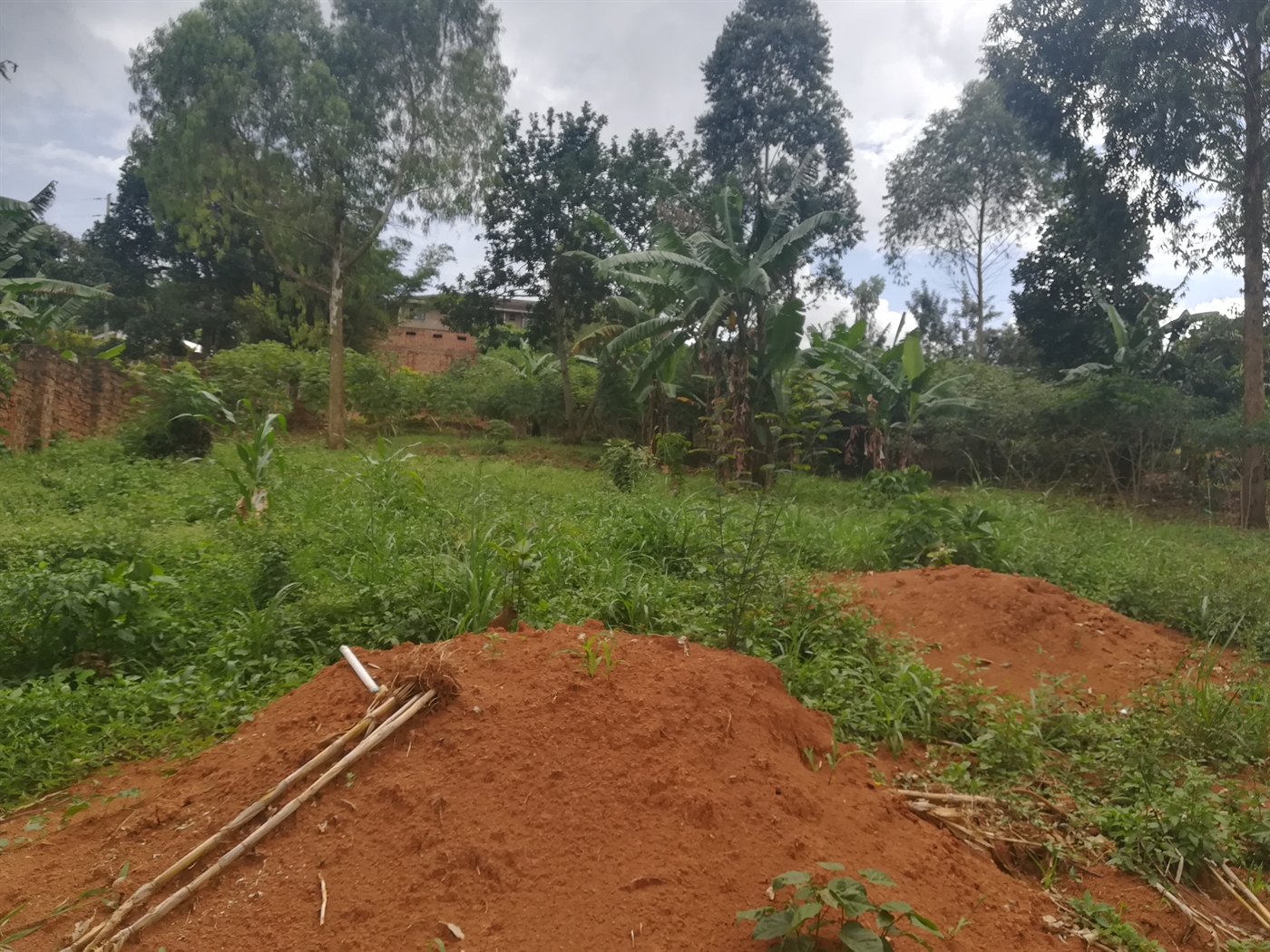 Residential Land for sale in Mpoma Mukono