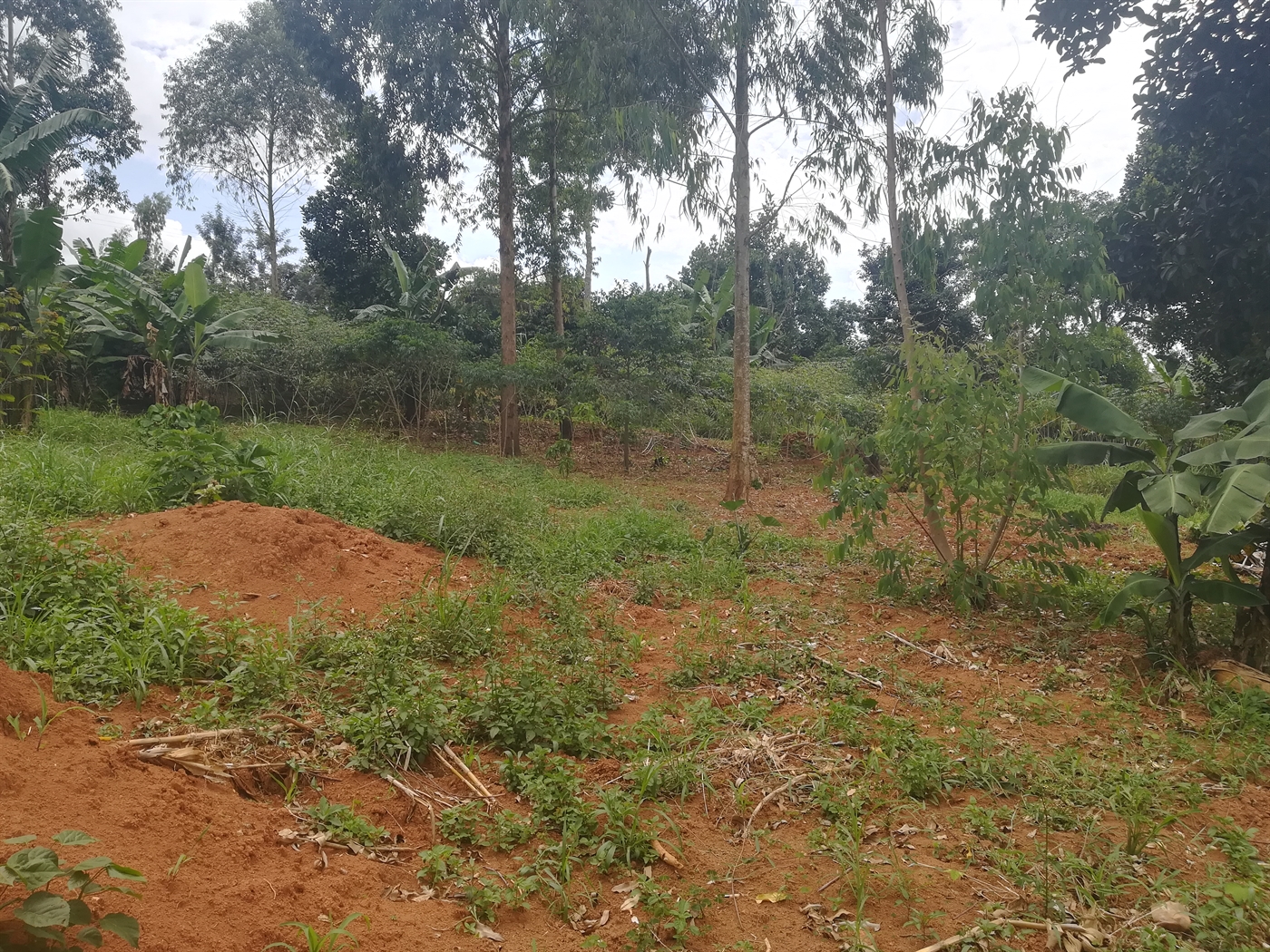 Residential Land for sale in Mpoma Mukono