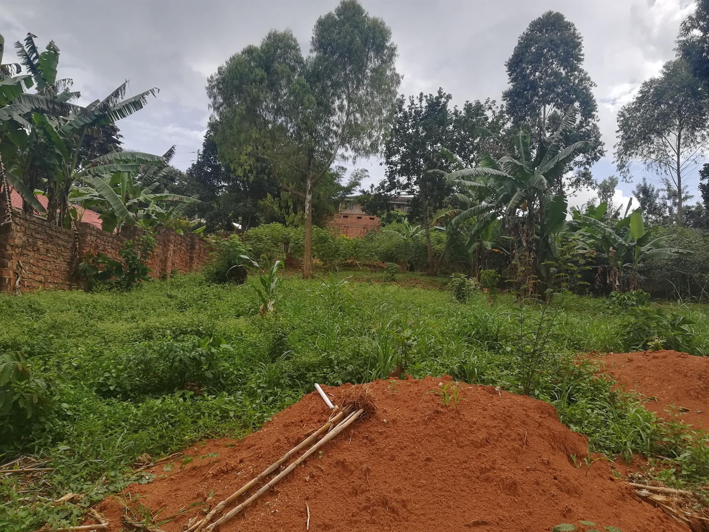 Residential Land for sale in Mpoma Mukono