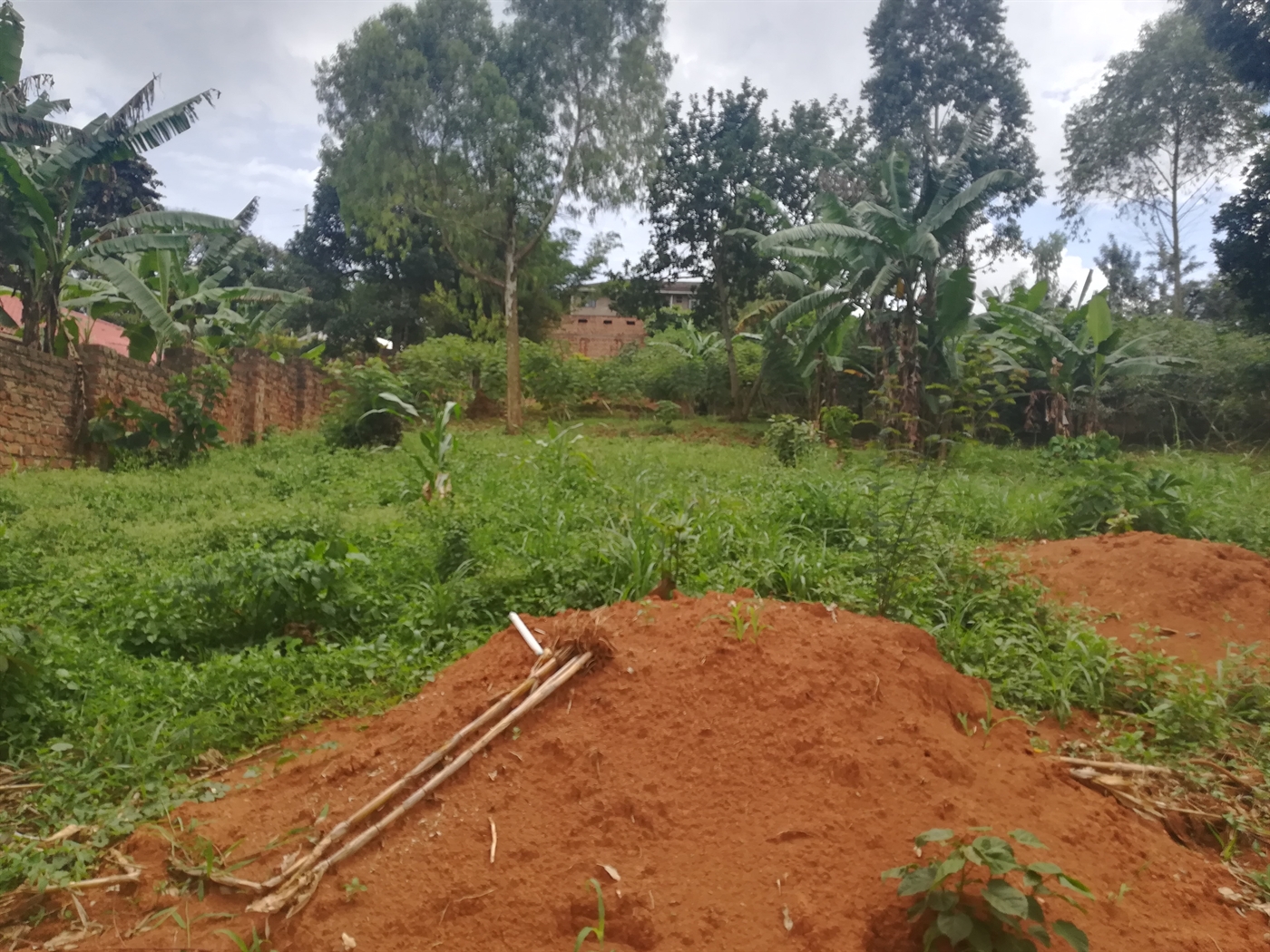 Residential Land for sale in Mpoma Mukono