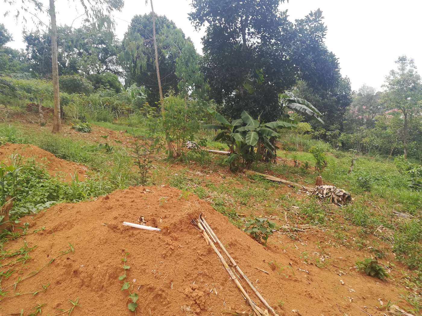 Residential Land for sale in Mpoma Mukono