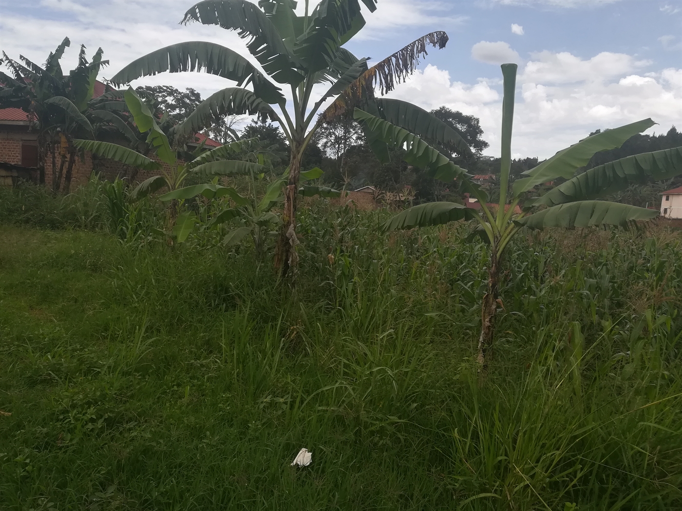 Residential Land for sale in Namilyango Mukono