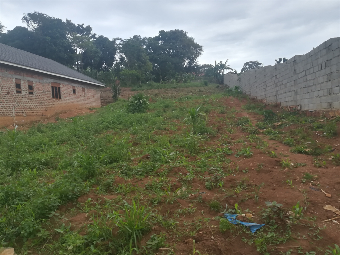 Residential Land for sale in Namilyango Mukono