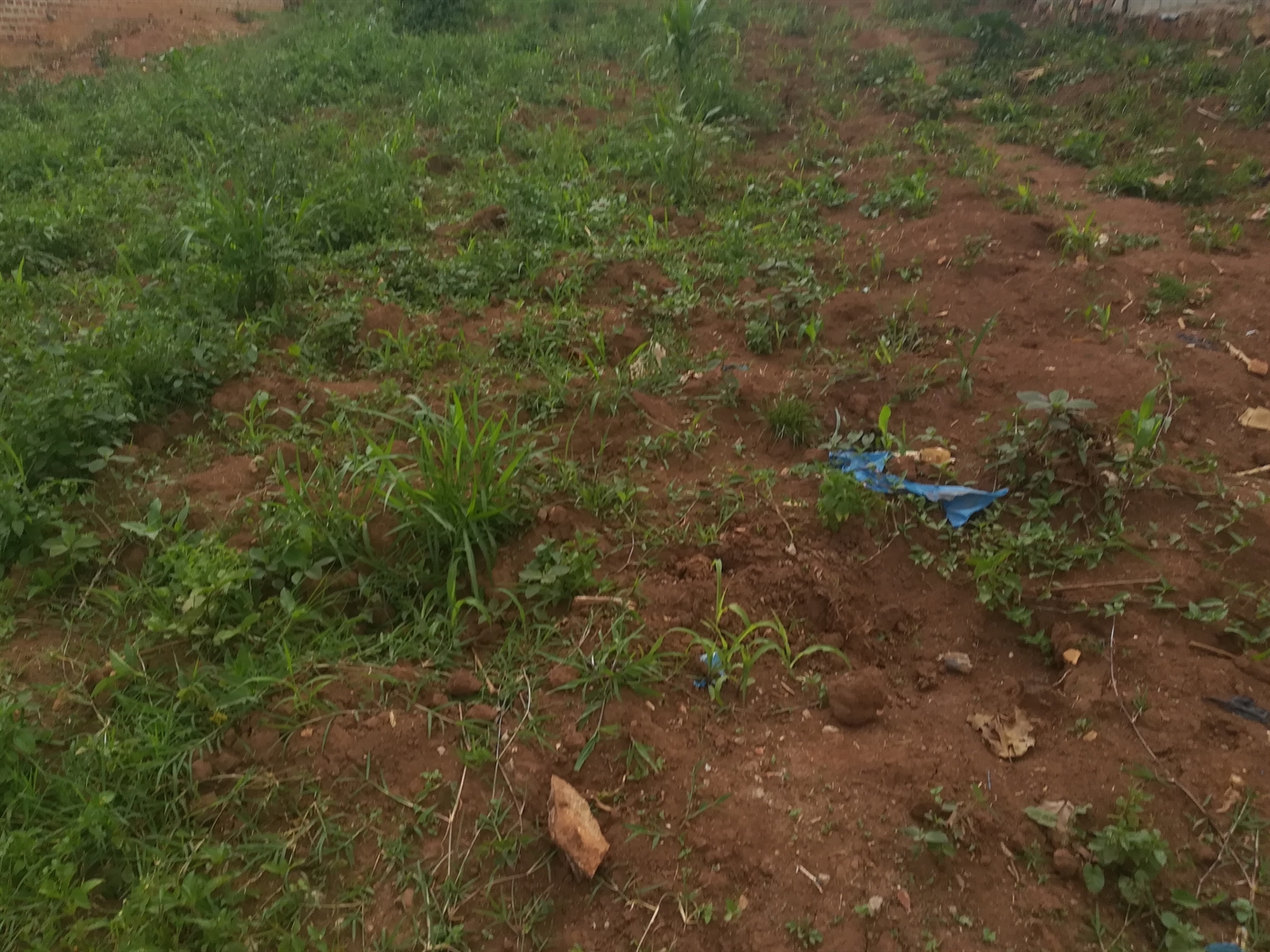 Residential Land for sale in Namilyango Mukono