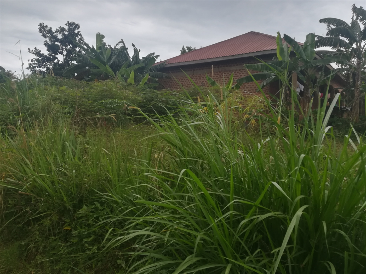 Residential Land for sale in Namilyango Mukono