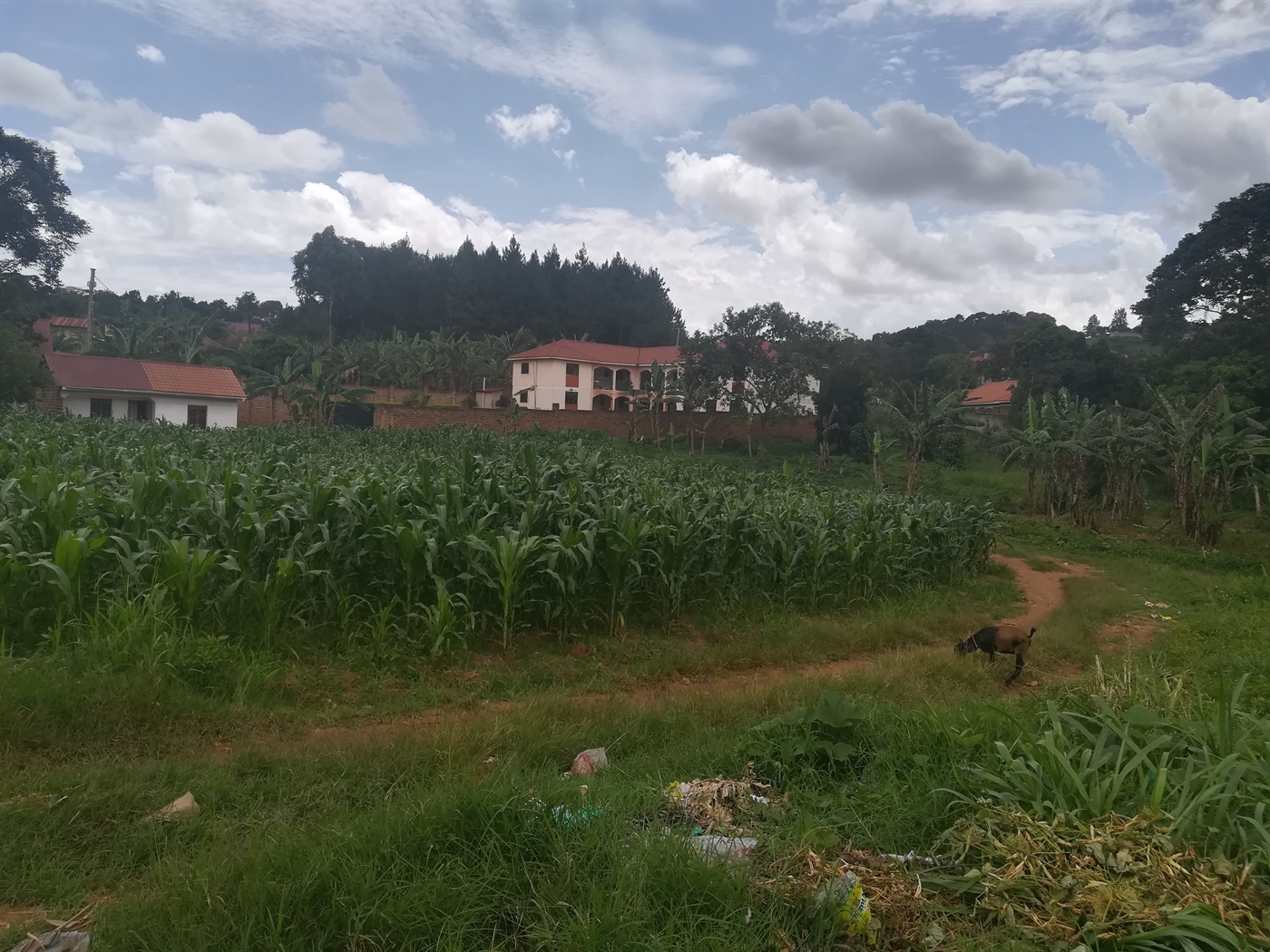 Residential Land for sale in Namilyango Mukono