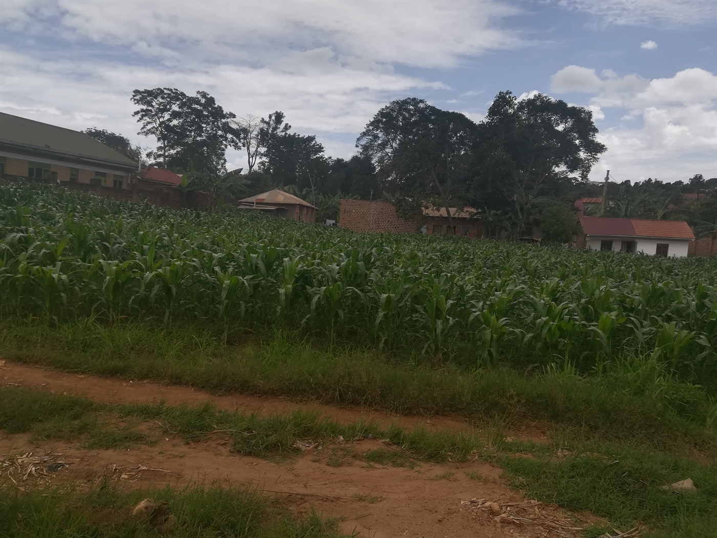 Residential Land for sale in Namilyango Mukono