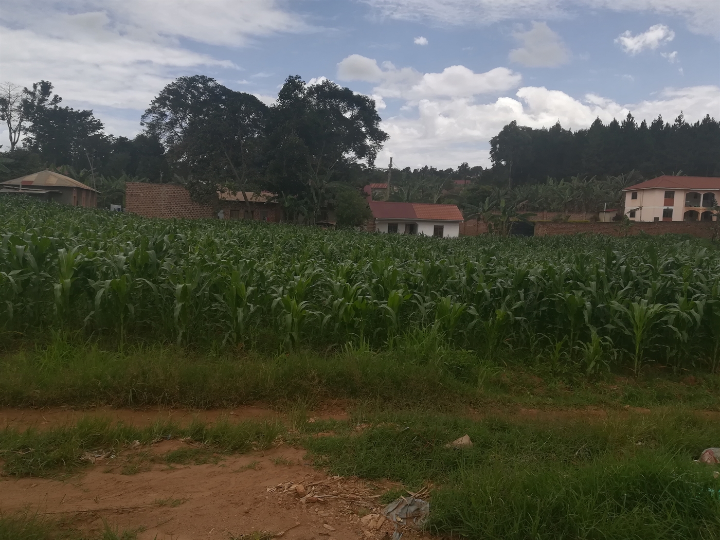 Residential Land for sale in Namilyango Mukono